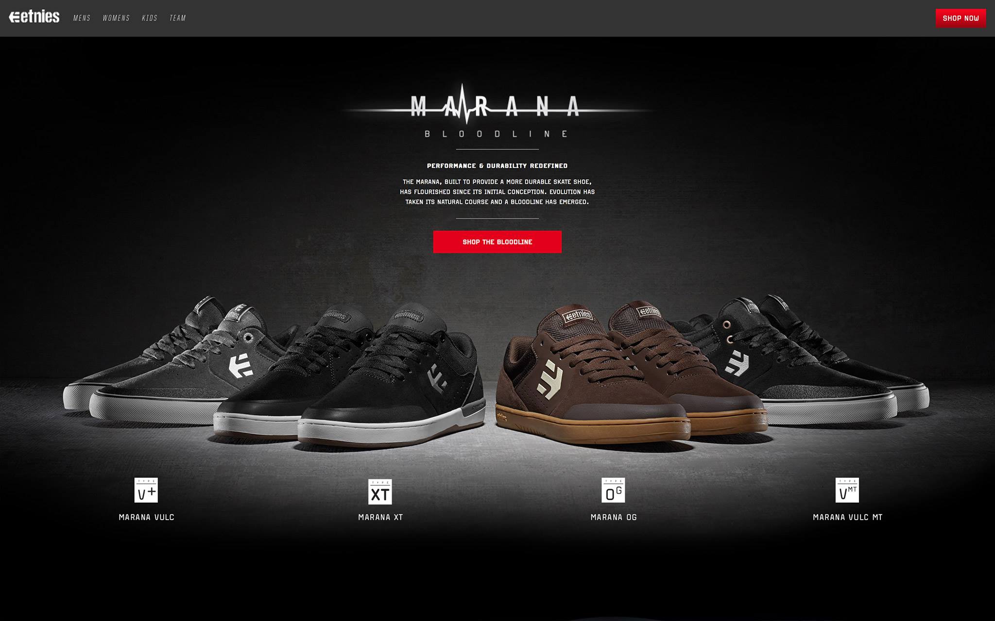 Etnies / Marana Bloodline